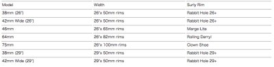 画像3: SURLY RIM STRIP