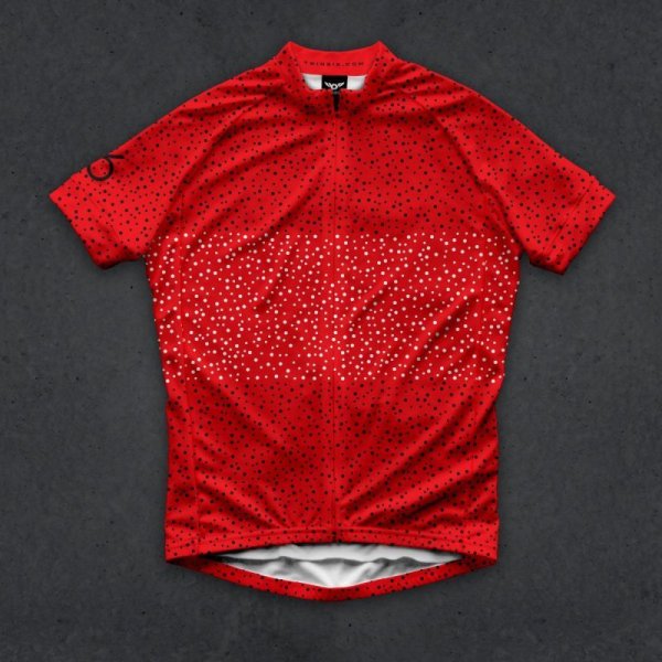 画像1: ”SALE" Twinsix Men's The Navigator (RED) Cycle Jersey サイズL (1)