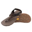 画像1: "Bedrocks Sandals" Cairn Geo Sandals (Bristlecone Brown) (1)