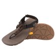 画像1: 2023 "Bedrocks Sandals" Cairn Geo Sandals (Bristlecone Brown) (1)