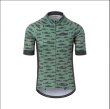 画像1: GIRO MENS CHRONO EXPERT JERSEY (Grey Green Sardine) GIRO STUDIO COLLECTION (1)