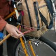 画像4: "SWIFT INDUSTRIES" Acme Tech Tote (Olive/Ivory) (4)